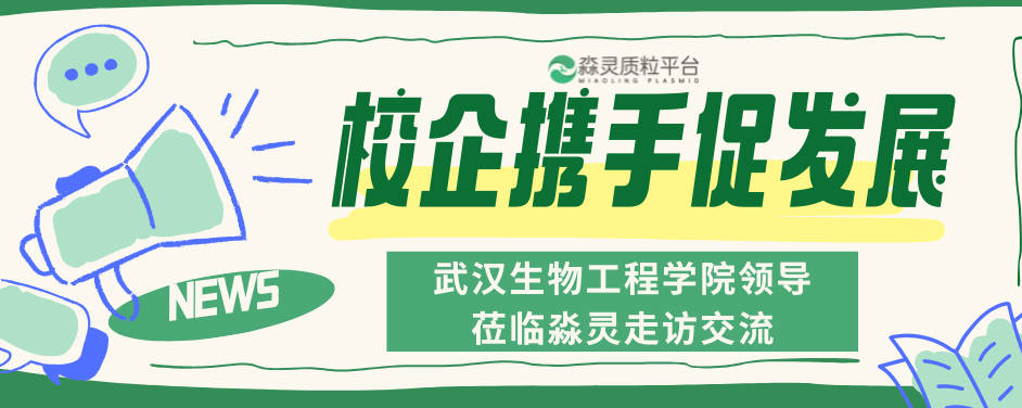 校企携手促发展｜武汉生物工程学院领导莅临淼灵走访交流