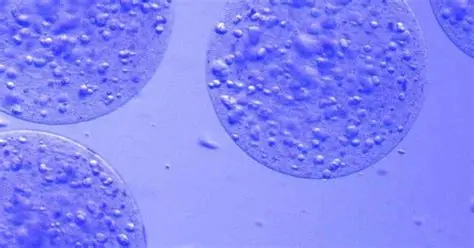 哺乳细胞shRNA干扰质粒：设计原理与实验实操指南