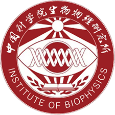 中国科学院生物物理研究所