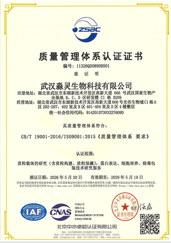 质量管理体系认证证书