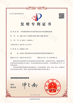 2019111958411-发明专利证书