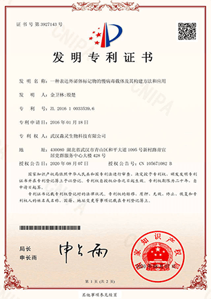 武汉淼灵2016（发明专利）