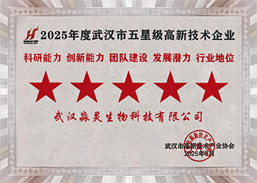 2025年
