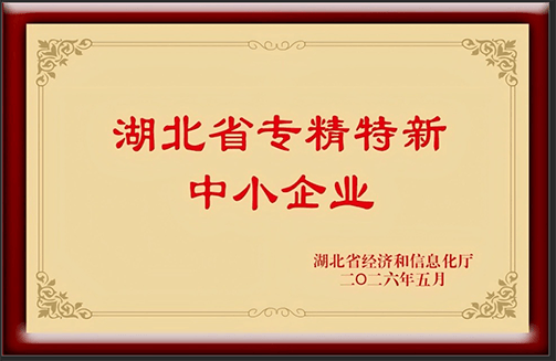 2026年