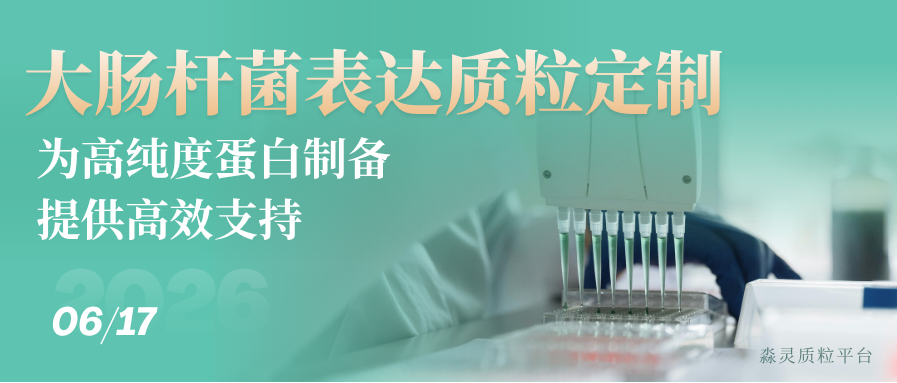 大肠杆菌表达质粒定制：为高纯度蛋白制备提供高效支持