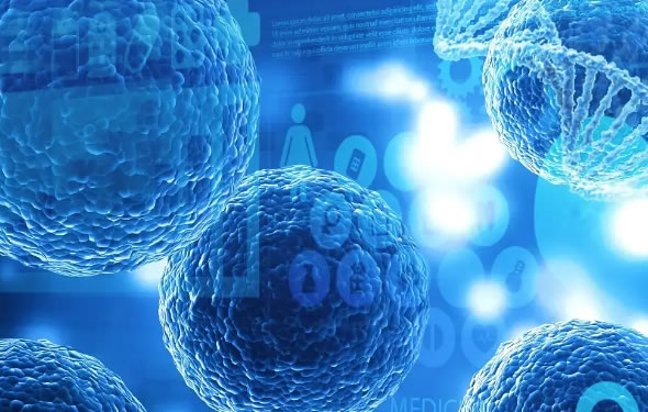 Exosome外泌体资料的详细总结，供分享