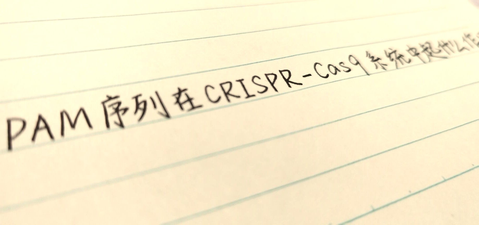 PAM序列在CRISPR-Cas9系统中起什么作用？