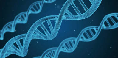 质粒保存：如何避免降解，确保实验成功？