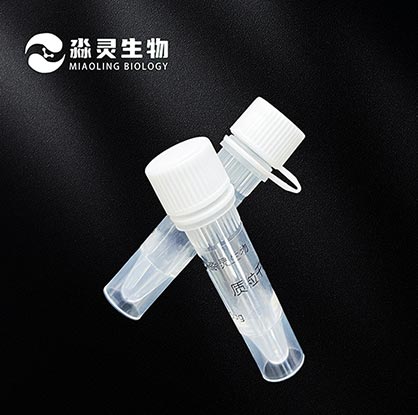 同源重组试剂盒说明书