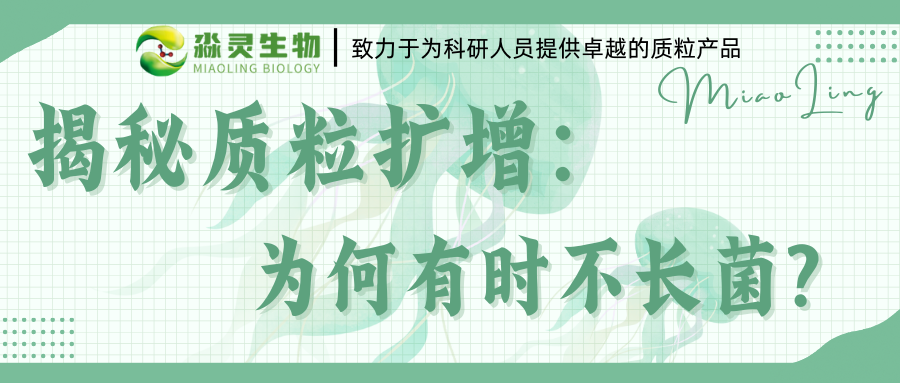 揭秘质粒扩增：为何有时不长菌？