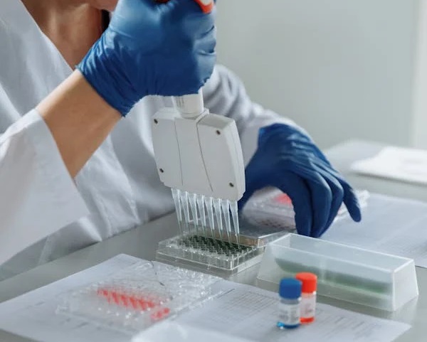 质粒的保存秘籍与再使用指南