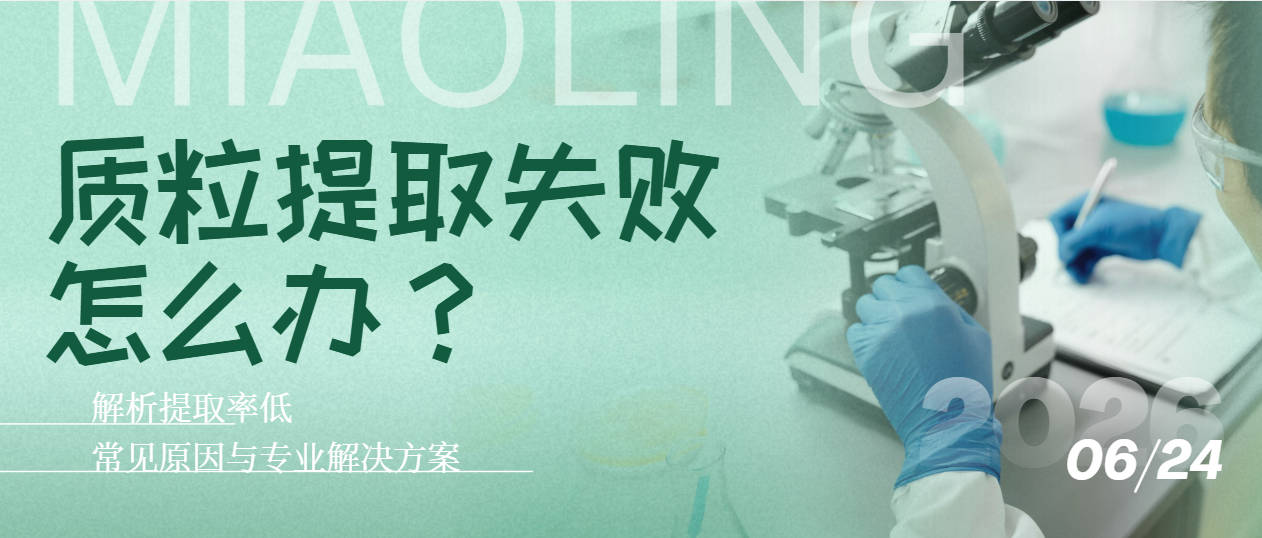 质粒提取失败怎么办？解析提取率低的常见原因与专业解决方案