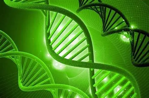 质粒类型深度解析｜淼灵转染级现货质粒助力科研提质增效